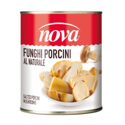 Porcini Funghi al Natural 850ml