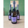 Prosecco extra dry Villa degli Olmi 750 ml | Vino