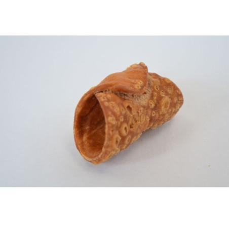 Cannoli Mignon 9g (1 Unidad)