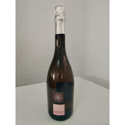 Lambrusco rosato Borgofluvia | Vino