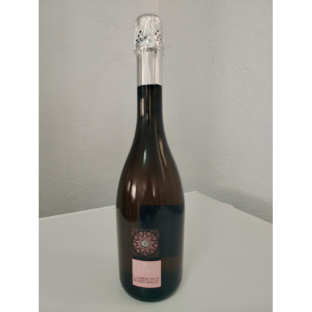 Lambrusco rosato Borgofluvia | Vino