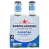 San Pellegrino Gassosa 20 cl, cartone da 24 | Bevande e liquori