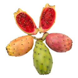 Fichi d'India secondo fiore Sicilia, calibro 16 | Frutta