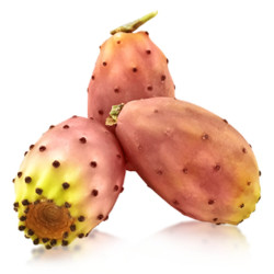 Fichi d'India secondo fiore Sicilia, calibro 18 | Frutta