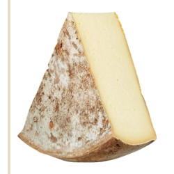 Fontal Zarpellon circa 2,6 kg | Formaggio