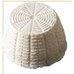 Ricotta di pecora | Formaggio