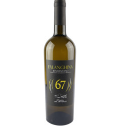 Falanghina del Beneventano IGP Vineria del Convento 75 cl | Vittoria Italiana