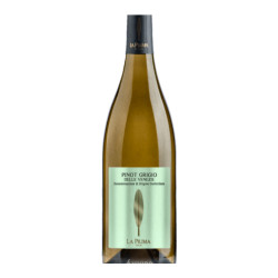 Pinot Grigio delle Venezie La Piuma 75 cl | Vittoria Italiana