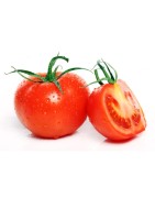 Tomates