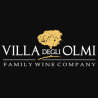 VILLA DEGLI OLMI